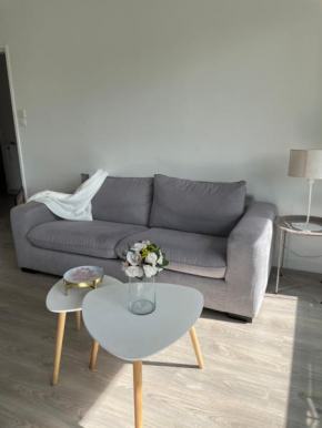 Appart 4 personnes 1 ch Laval